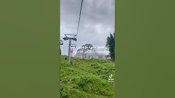 سوره طه بصوت جميل 💗