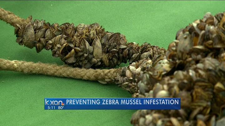 Keeping Zebra Mussels out of our Lakes