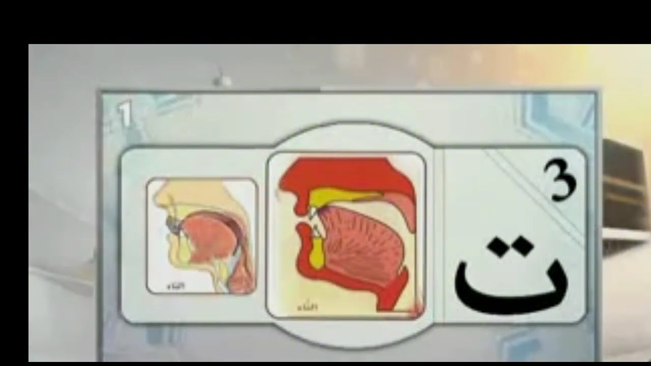 مخارج الحروف ١ :الأستاذ عبد القادر ابو بانة