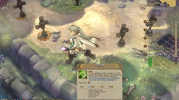 Tree Of Savior RuneCaster Class Skill 룬캐스터 스킬