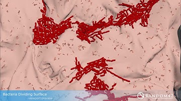 Bacteria dividing scientific/medical VFX : thinkingParticles