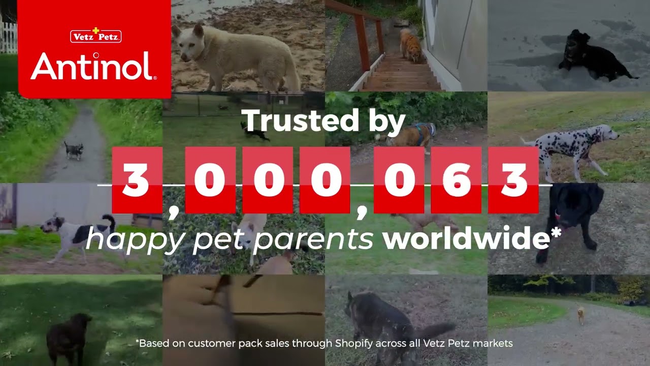 VetzPetz Brand Video