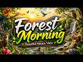 Forest Morning 🌿🌅 | Peaceful Nature View | Discover Kids World