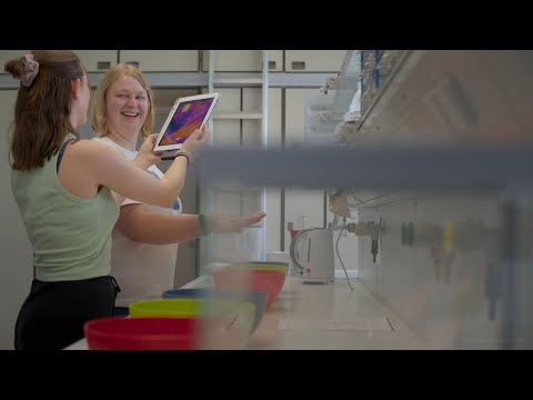 Lehramt an Haupt-/Real-/Sekundar- und Gesamtschulen - video from WWU