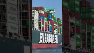 This One Ship Held Global Trade Hostage#ContainerShip#GlobalTrade#WorldEconomy#Massive#FYP
