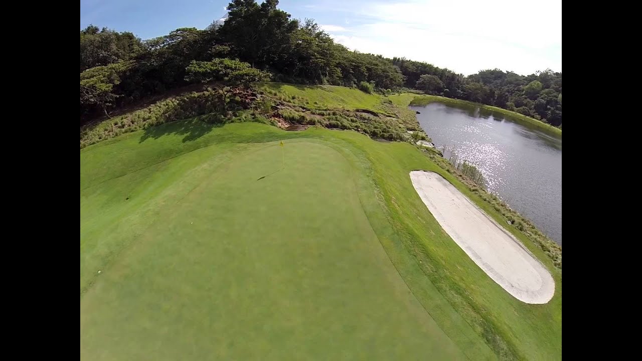 tarantula spider GOPR0080