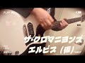 エルビス(仮) / ザ•クロマニヨンズ