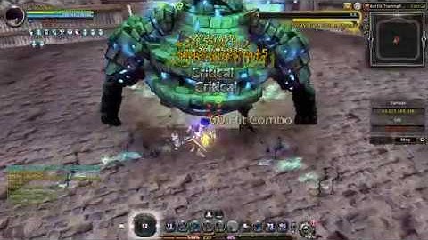 Crusader BTG 50B DPS TEST -DRAGON NEST INA