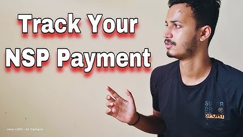 How To Track Your NSP Payment / PFMS Payment Check - By Yr Helper