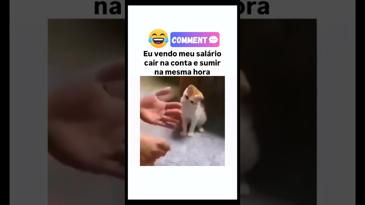 Meu Salário Mágico 