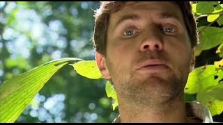 Bbc Documentary - Journey Of Life 4 Of 5 - Living Together