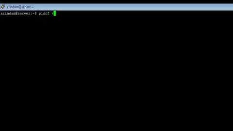 Linux - pidof Command - w3resource