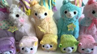 Alpacasso Alpaca Products & Free Offer!