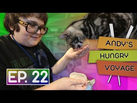 Andy Milonakis Visits A Cat Cafe! | Andy's Hungry Voyage