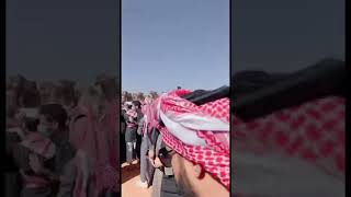 لطامات في قطر