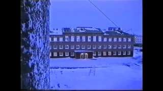 Тикси после пурги 14.01.1997 Татьяна, Алиса, Гостиница, коты