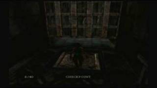 Tomb Raider Anniversary Playthrough - Part 11 @VulgusBangaa