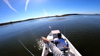 The Water is Cooling Down and The Bite is Heating UP!