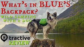 CAMPING WITH A DOG  FULL KIT LOAD OUT  Tractive GPS Dog Tracker Ruffwear Approach Pack Backpacking