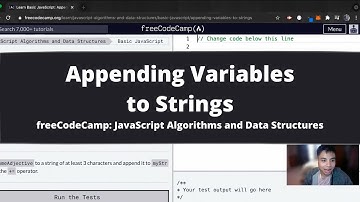Appending Variables to Strings (Basic JavaScript) freeCodeCamp tutorial