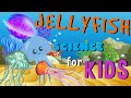 Jellyfish Fun Facts Quiz