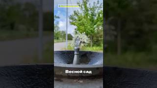🌿Оазис в сердце Еревана: путешествие в природу #travelvlog