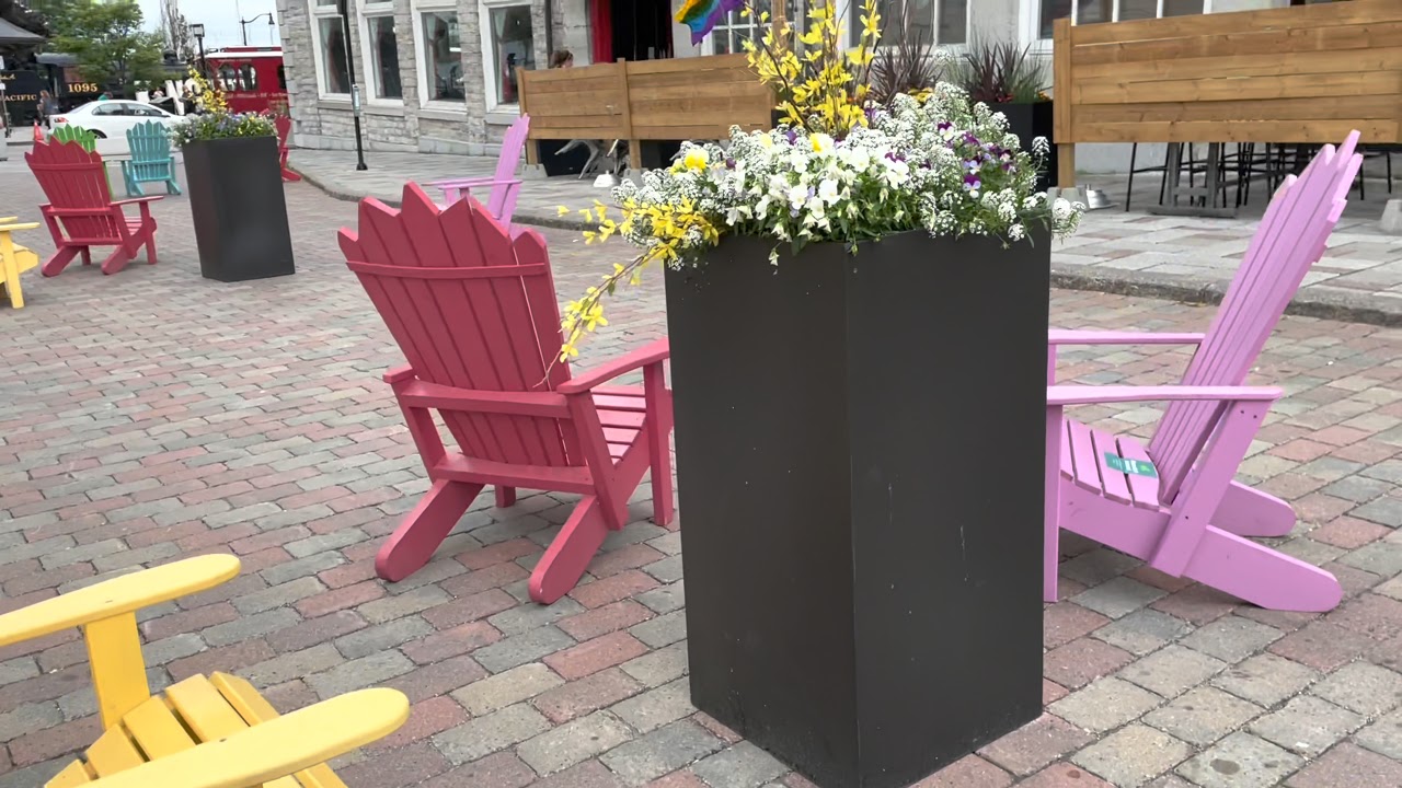 Weekend Kingston lo || videshi Vidyarthi || Fort Henry || Kingston town