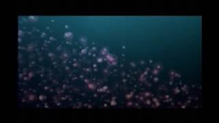 Ocean Love Music Video by Film Help I'ma a Fish