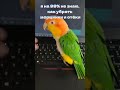 Расслабляющий и подтягивающий массаж лица 💖