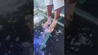 fish pedicure 😊