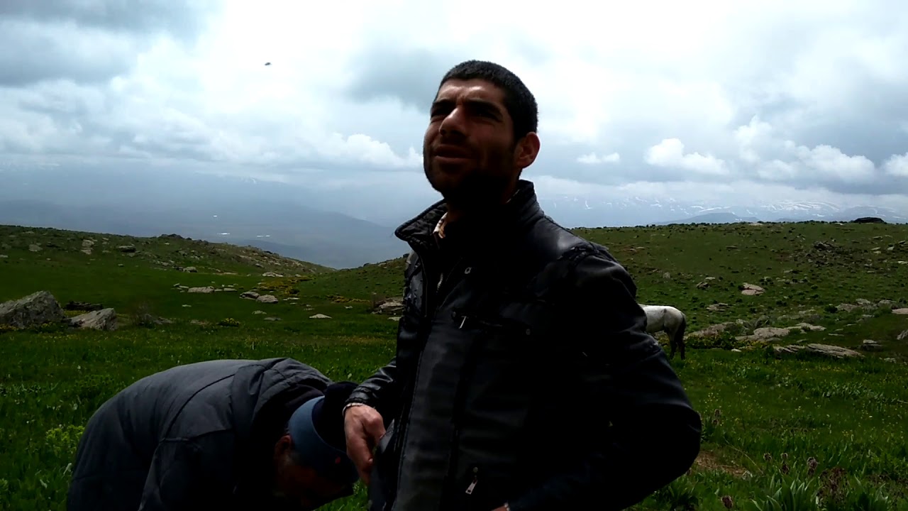 Erzurum çat yavi yaylaları 2