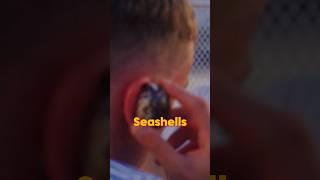 Why Do Seashells Sound Like The Ocean? 🐚🤩