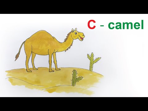 Video VẼ LẠC ĐÀ - DRAW THE CAMEL - youtube