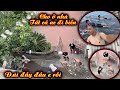 Hoàng Em Cay Cú B.ị Hoàng Dũng Đ.ái Vào Đầu và Màn Trả Thù Có 102