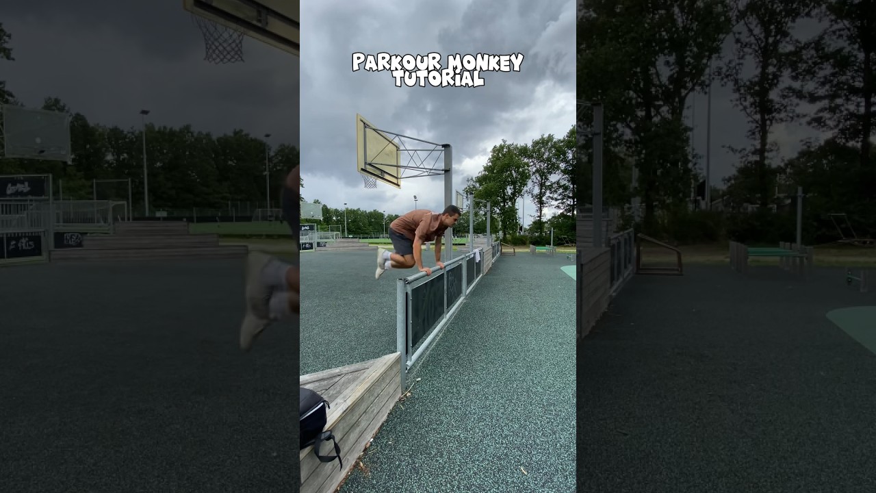 Learn Monkey Vault In Less than 42 Seconds!