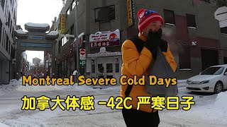 体感—42 C度的冬日生活蒙特利尔Severe Cold days Montreal——加拿大海哥