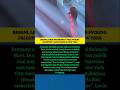 Lorde Dukung Palestina #trending #lorde #palestine