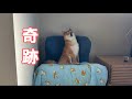 検査結果について大事な報告がございます