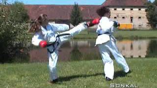 2006 Taekwon do sampler