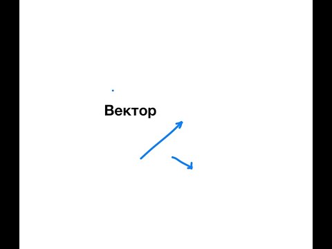 Что такое вектор? Коллинеарные векторы