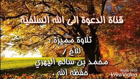 🎧ارح سمعك بكلام ربك🌱تلاوة مميزه للقارئ محمد بن سالم جامع الميره حي الهنداويه جده