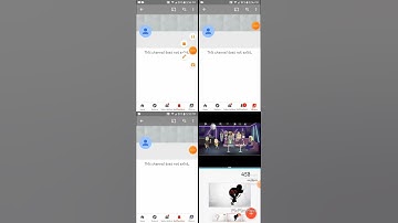 Silas Gibson Got Terminated QuadParison 3