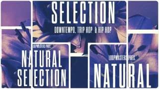 Natural Selection - Downtempo Chillout Samples & Loops - By Loopmasters