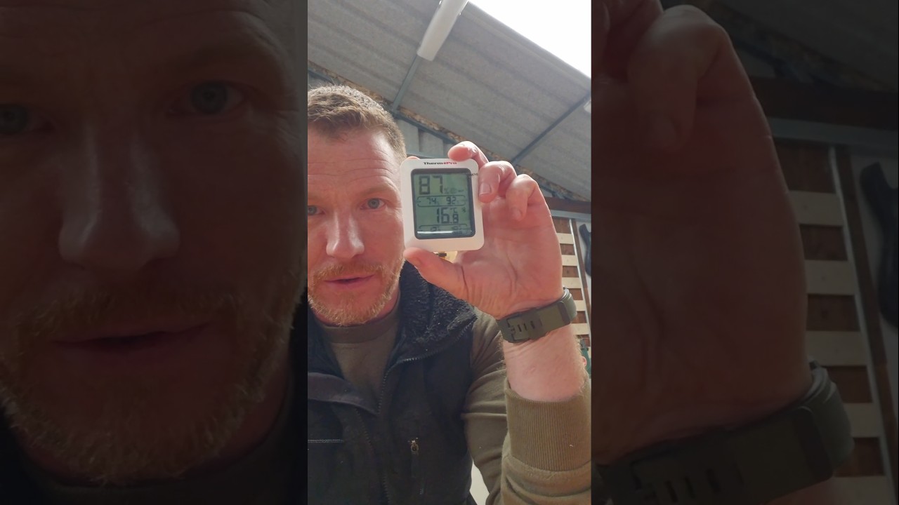 Проблемы в столярной мастерской, борьба с уровнем влажности и тестирование осушителя воздуха.