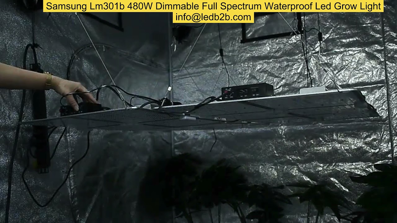 Samsung Lm301b 480W Dimmable Full Spectrum Waterproof Led Grow Light ...