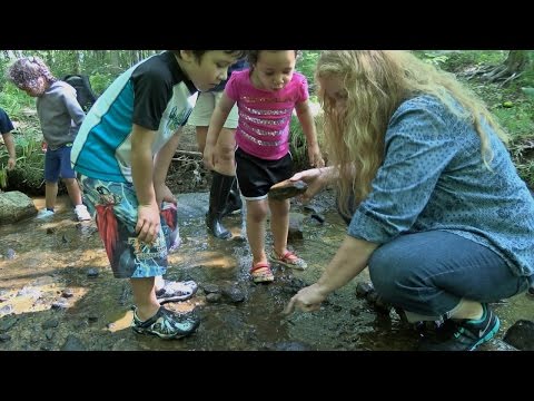 Investigating Rocks