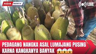 pedagang nangka asal Lumajang pusing karna nangkanya banyak