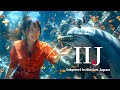 New World(人間と接続編)