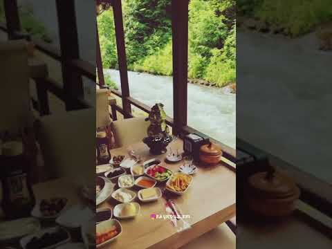 فيروزيات الصباح فيروزيات فيروز تعا ت نتخب ى من درب الأعمار Y Max Shorts