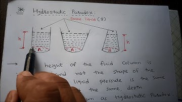 Hydrostatic Paradox